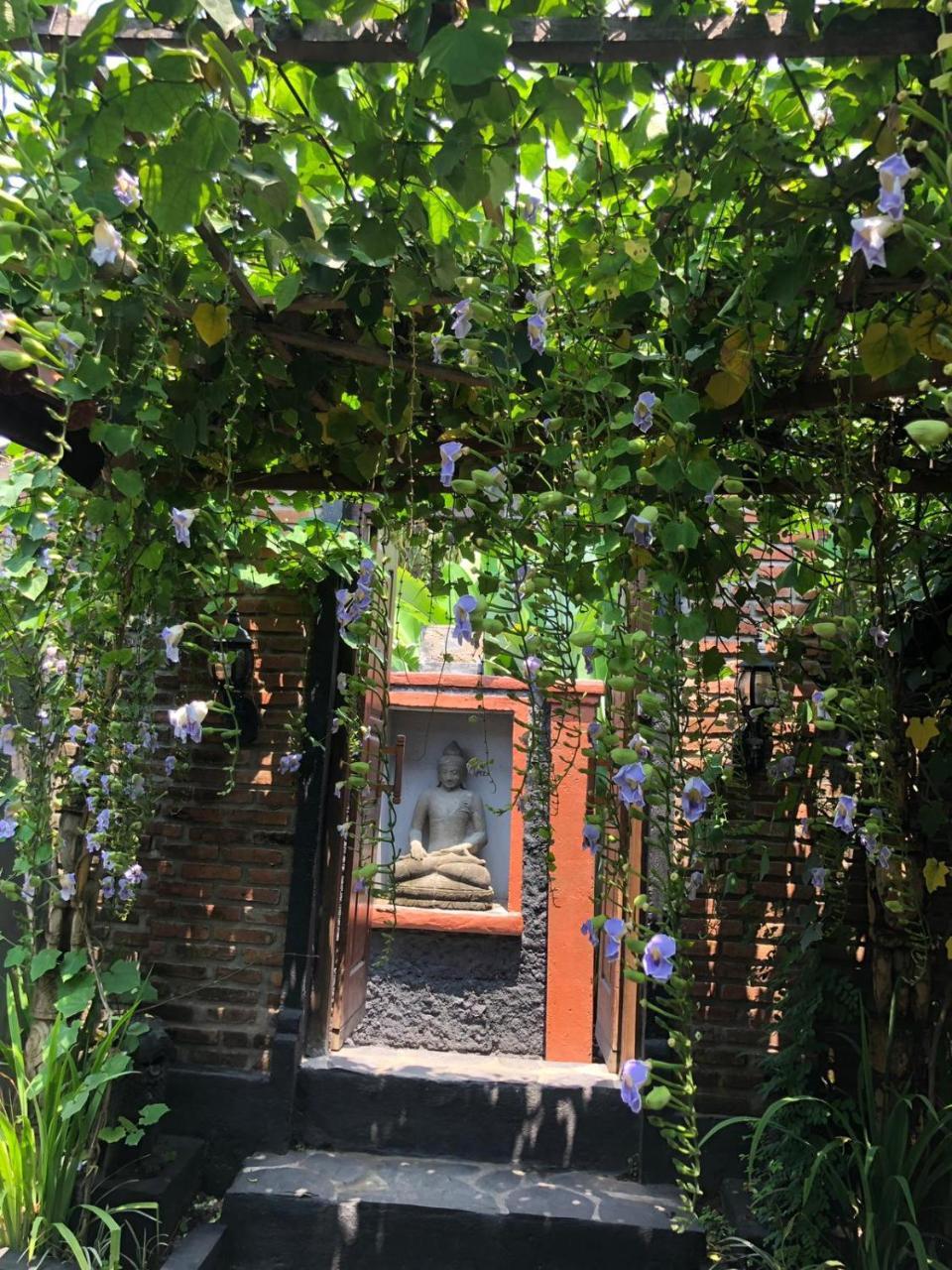 Tribe Theory Startup Village For Entrepreneurs Kuta Lombok Exteriér fotografie